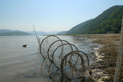 Dunav na delu kojim gazduje NP Đerdap